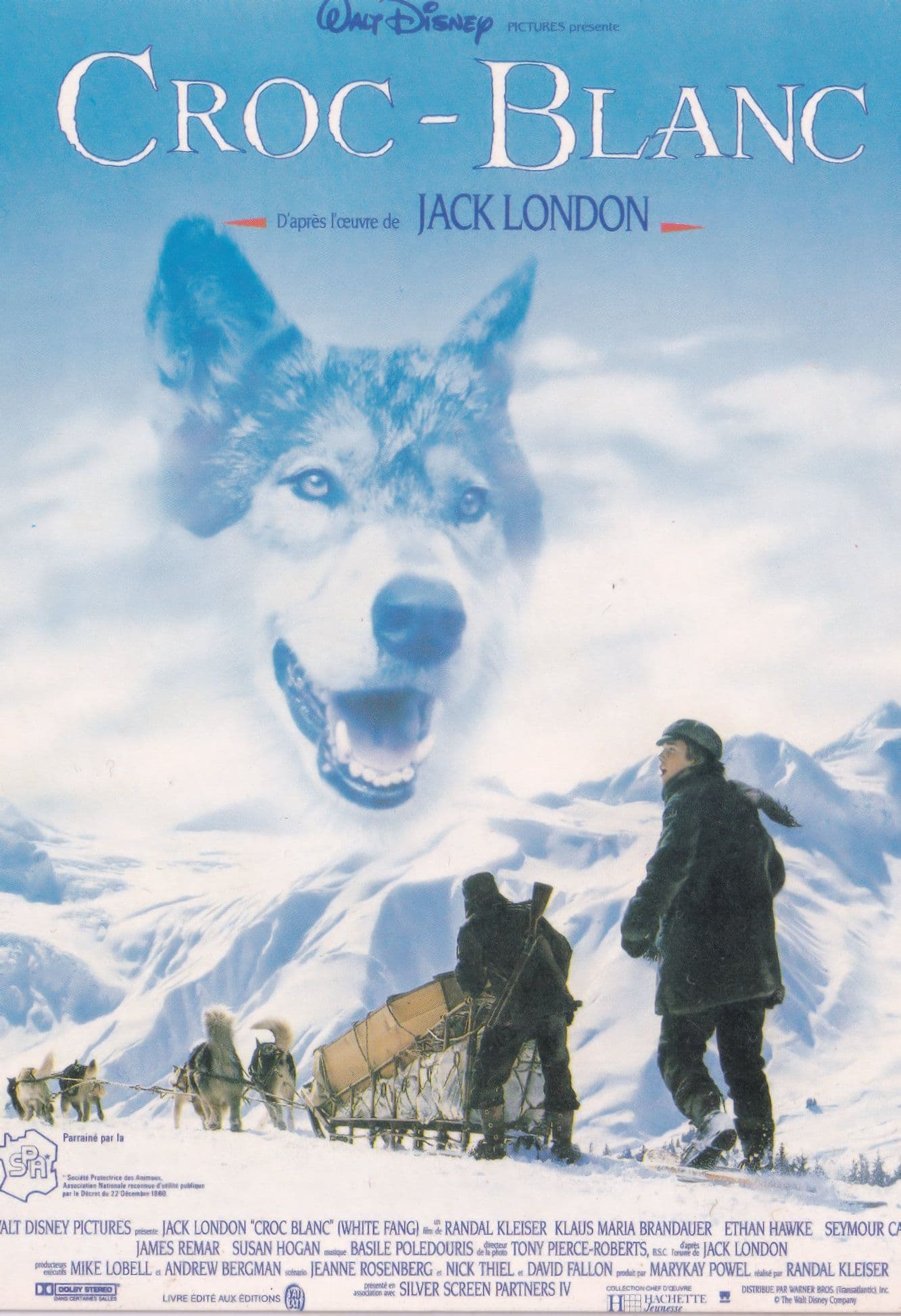Croc Blanc White Fang Jack London French Cinema Poster Postcard