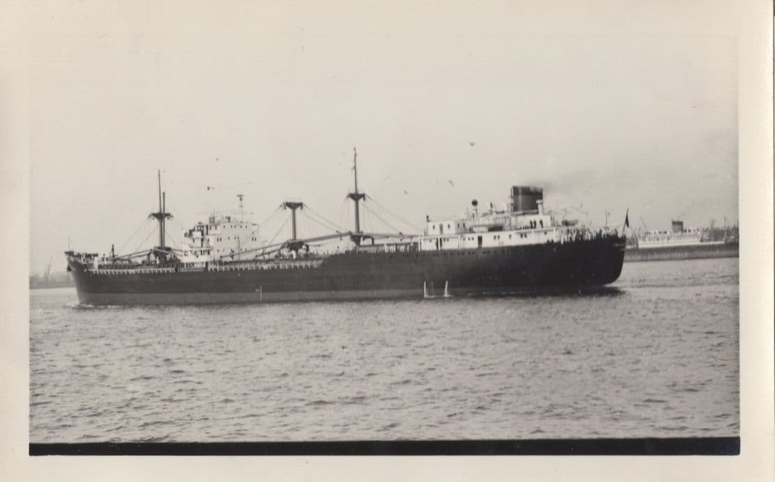 Crystal Bell South African 1950s Carrier Ship Vintage Rare Photo
