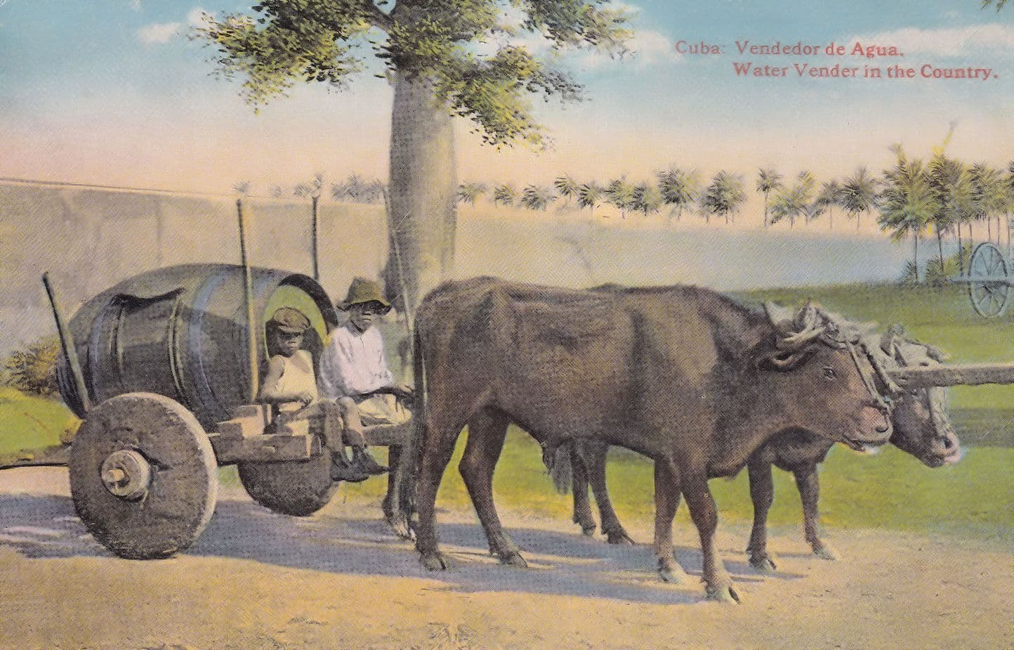 Cuba Vendedor De Agua Old Market Trader Postcard