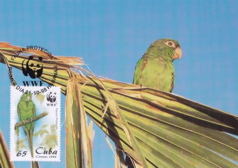 Cuban Parakeet Psittacidae Parrot Bird Stamp Rare WWF FDC Postcard