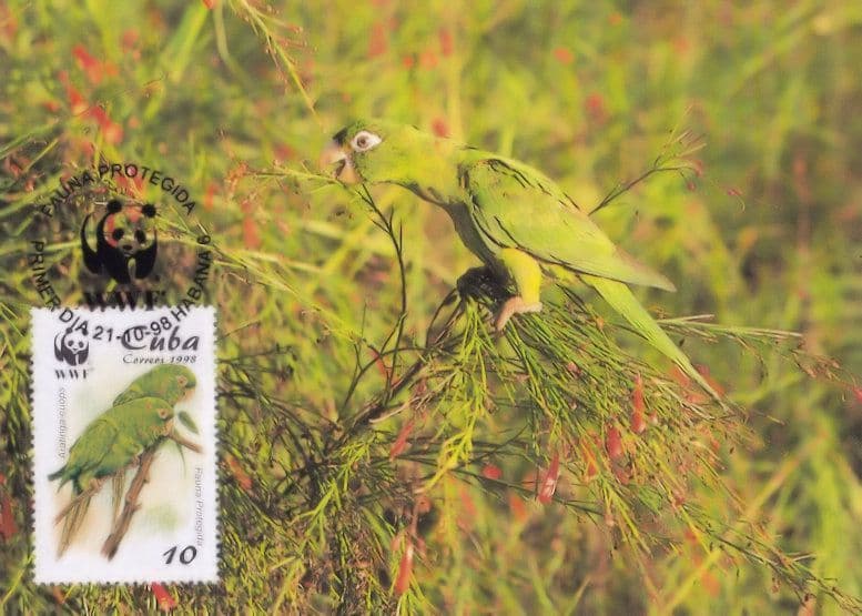 Cuban Parakeet Psittacidae Parrot Bird Stamp WWF FDC Postcard