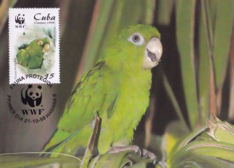 Cuban Parakeet Psittacidae Parrot Rare Stamp WWF FDC Postcard