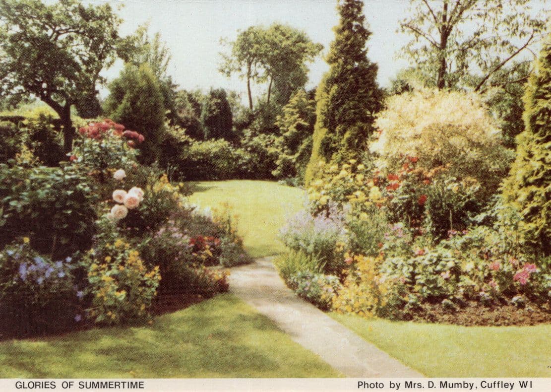 Cuffley Garden in Summer Hertfordshire Postcard