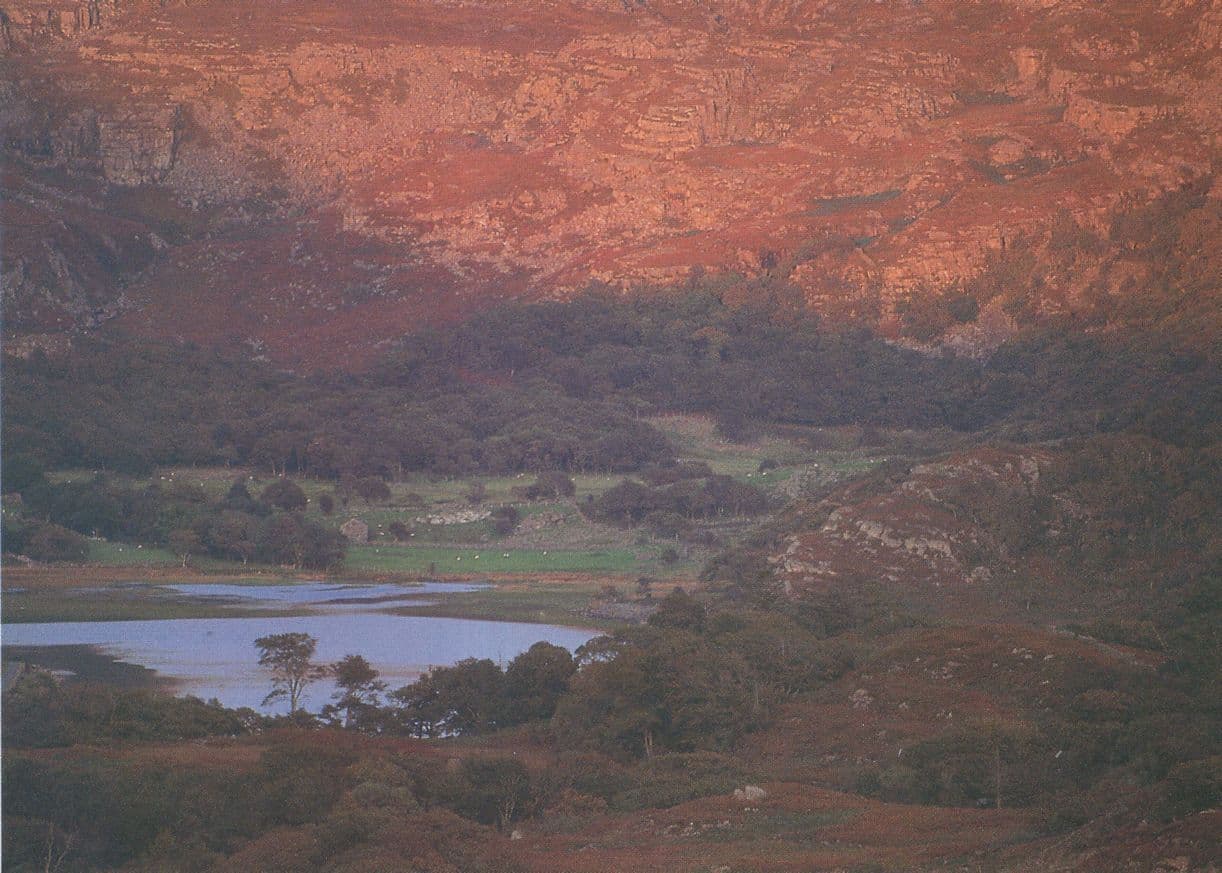 Cwm Bychan At Dusk Sunset Cynfos Yng Ngwm Bychan Welsh Postcard