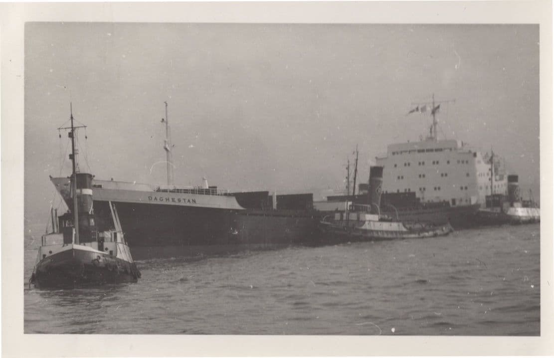 Daghestan Motor Vessel Cargo William Doxford Ship Rare Photo