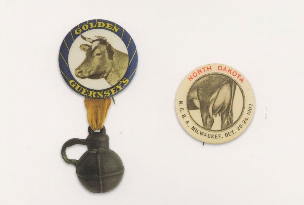 Dairy Dakota Antique Farming Guernsey Cows Button Badge Postcard