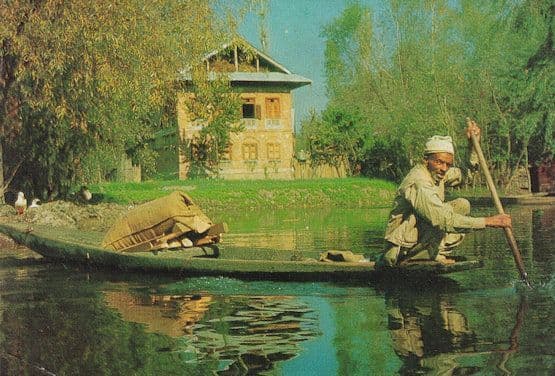 Dal Lake Shinagar India Postcard