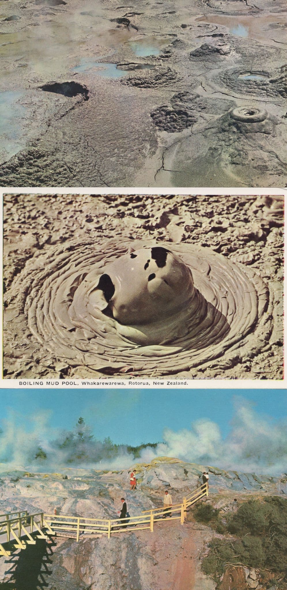 Daring Visitors at Geyser Whakarewarewa 2x New Zealand Postcard