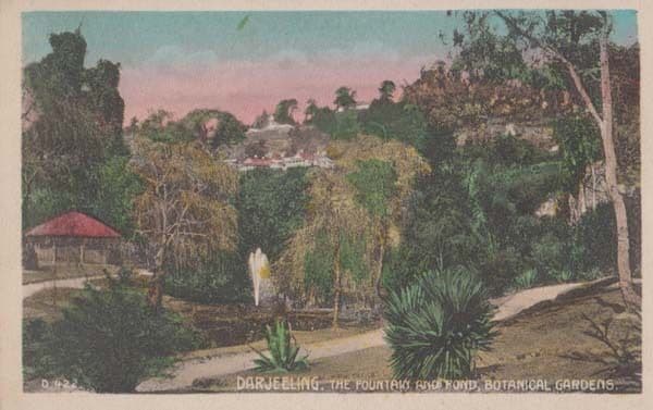 Darjeeling Fountain and Pond Botanical Gardens Antique Old India Indian Postcard