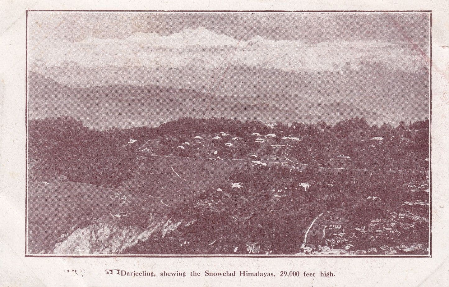 Darjeeling Shewing the Snowclad Himalayas Indian Antique Postcard