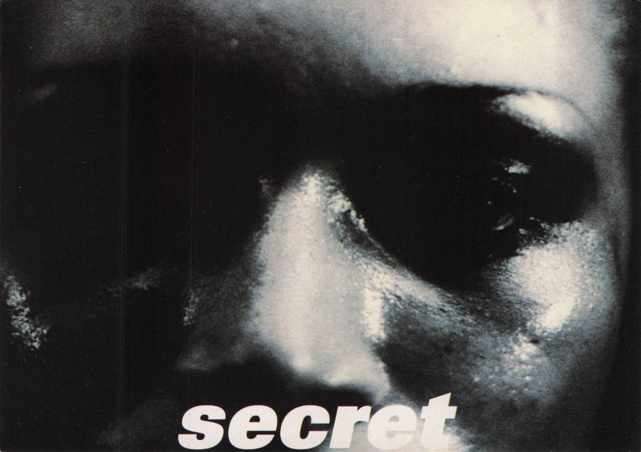 Dave Stewart Secret CD Single Release Advertising Postcard