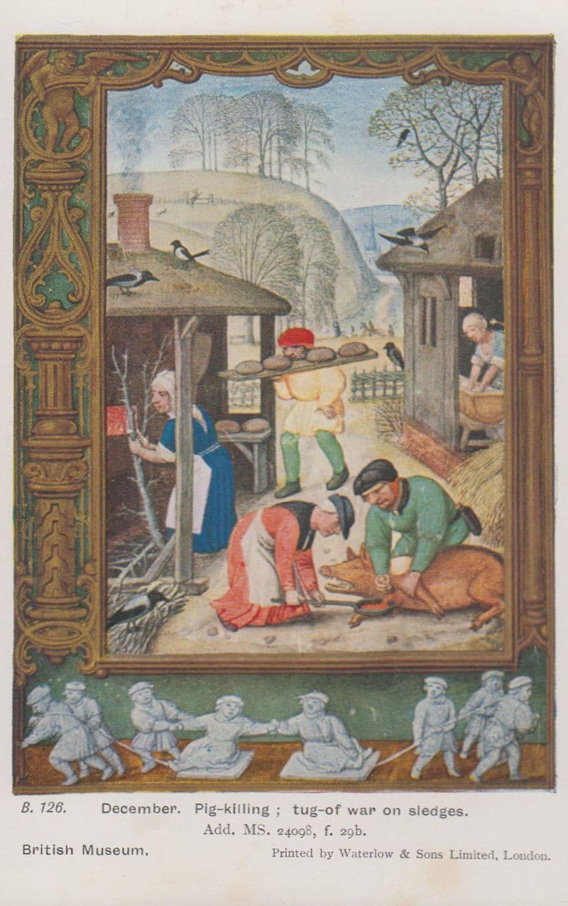 December Pig Killing Tug Of War On Sledges Medieval Drawing Antique Postcard