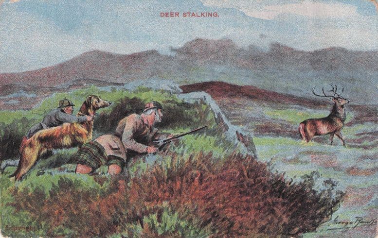 Deer Stalking Animal Hunting Antique London Postcard