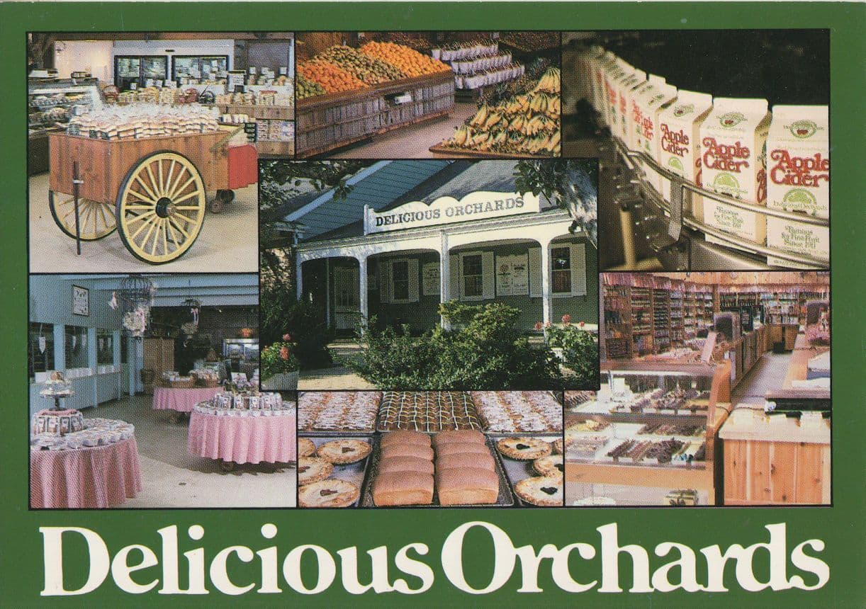 Delicious Orchards New Jersey USA Cider Drink Cartons Postcard