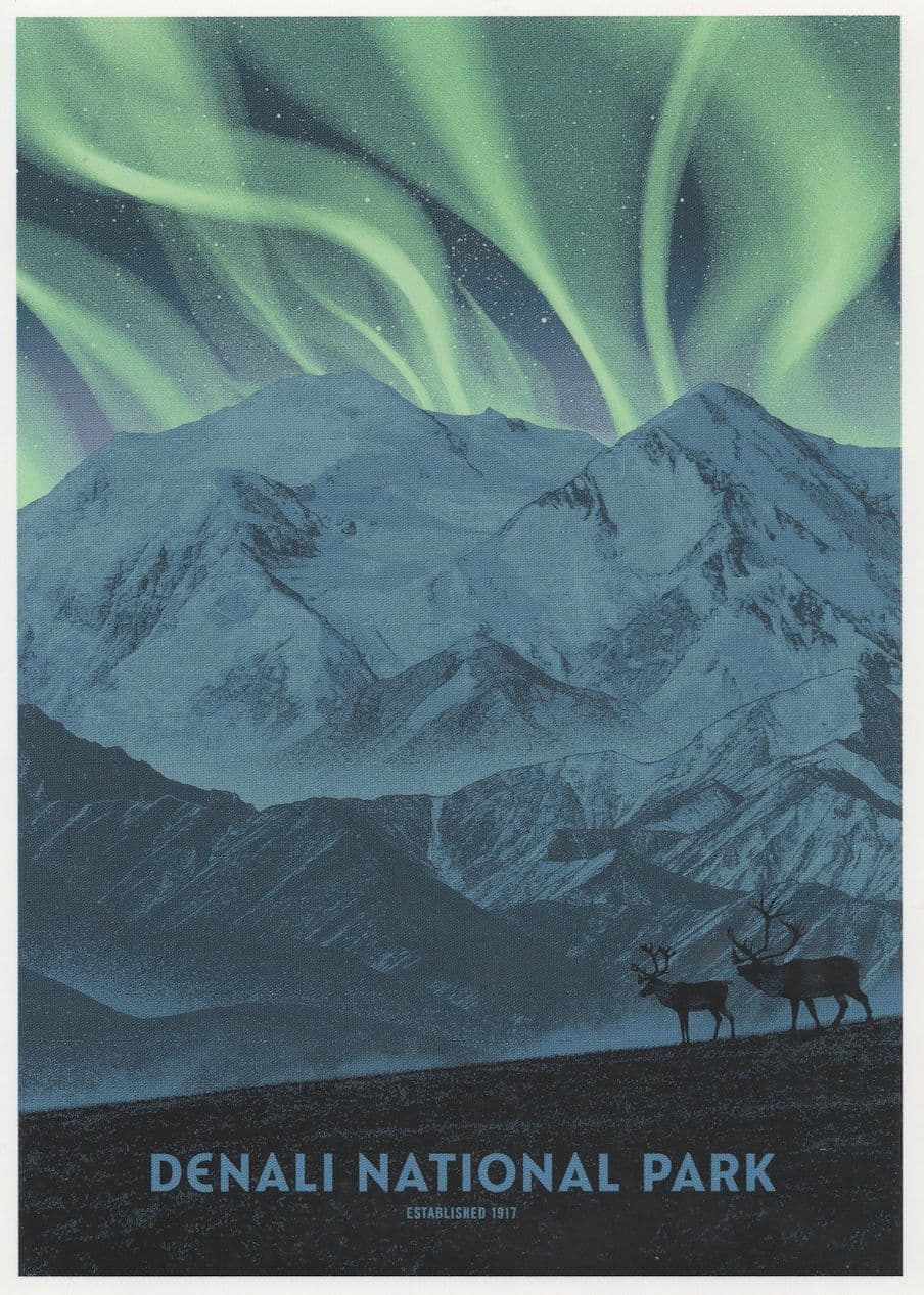 Denali National Park Deer Alaska Aurora Borealis Lightshow USA Postcard