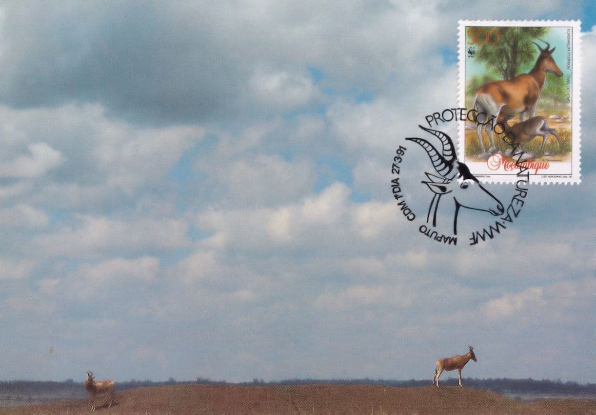 Der Lichtensteins Hartebeest Deer WWF Stamp Limited Edition FDC Postcard