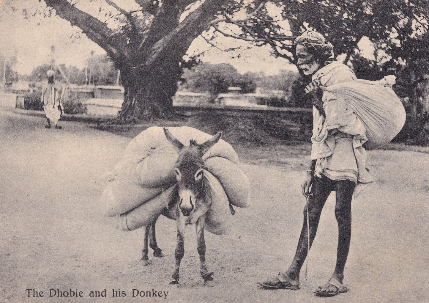 Dhobie & His Donkey India Antique Postcard