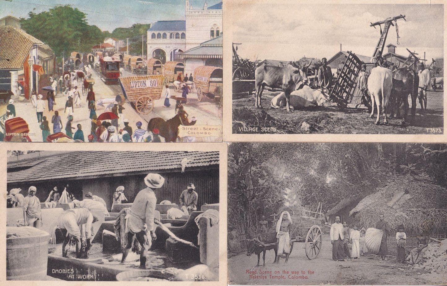 Dhobies At Work Colombo Village Street Scene 4x Old Postcard s