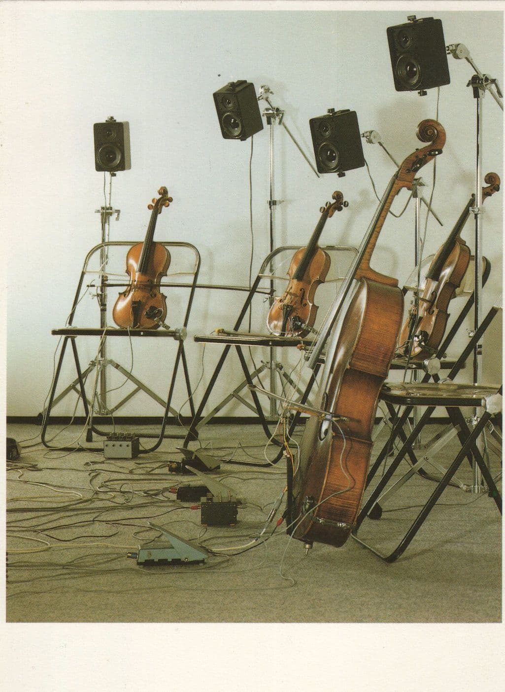 Dick Raajmakers 1971 Electric Bass Violin Cello Award Photo Postcard