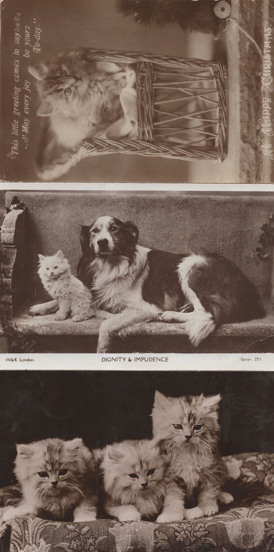 Dignity & Impudence Dog & Cat Kittens 3x Old RPC Postcard s