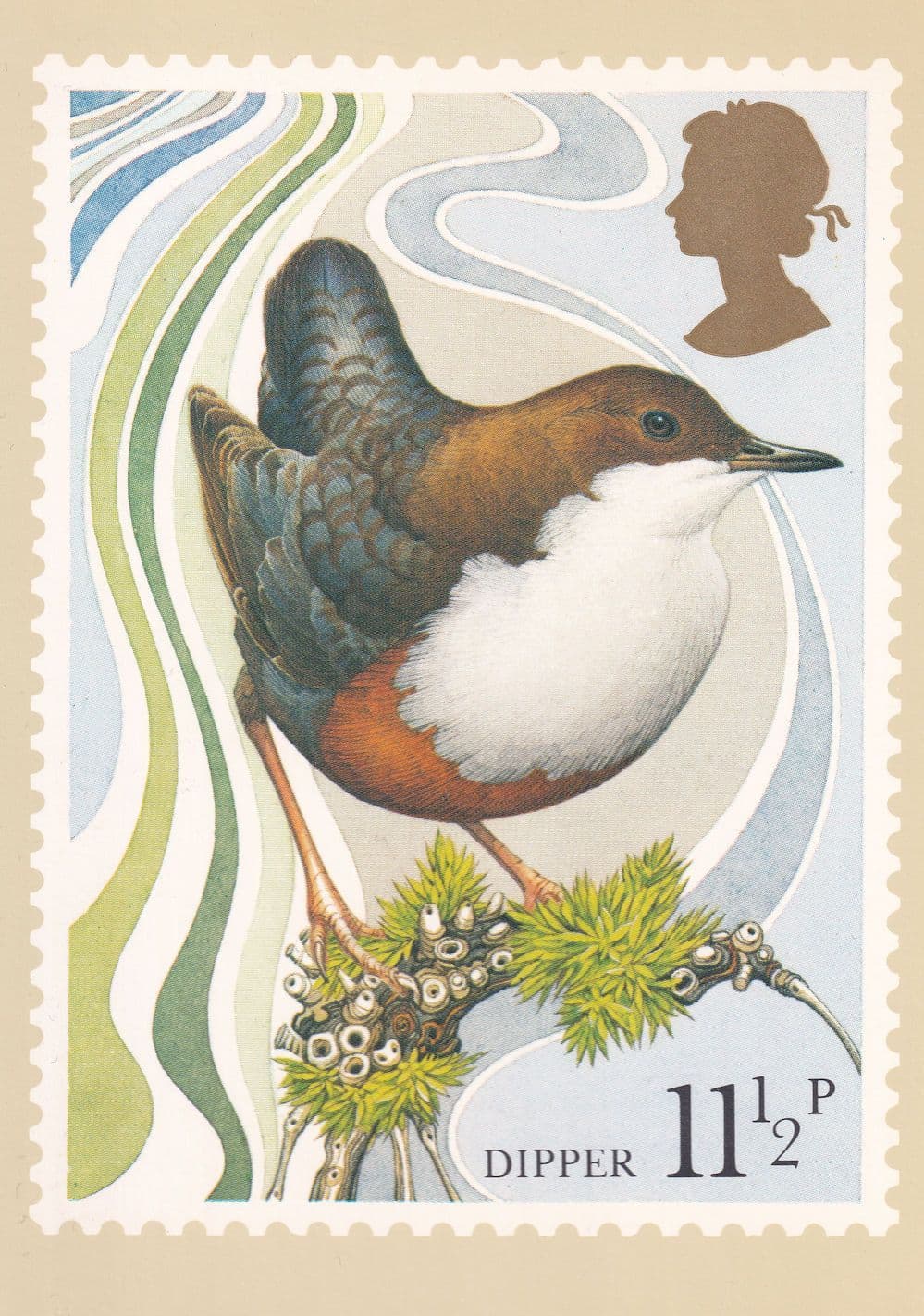 Dipper Bird PHQ Royal Mail Postcard