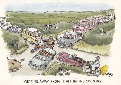 Disaster Holiday incl Cycling Fishing 4x Comic Humour Postcard s