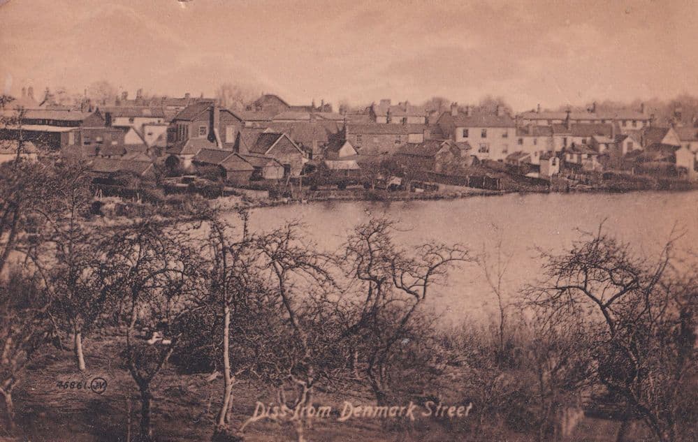 Diss Norfolk From Denmark Street Antique Postcard