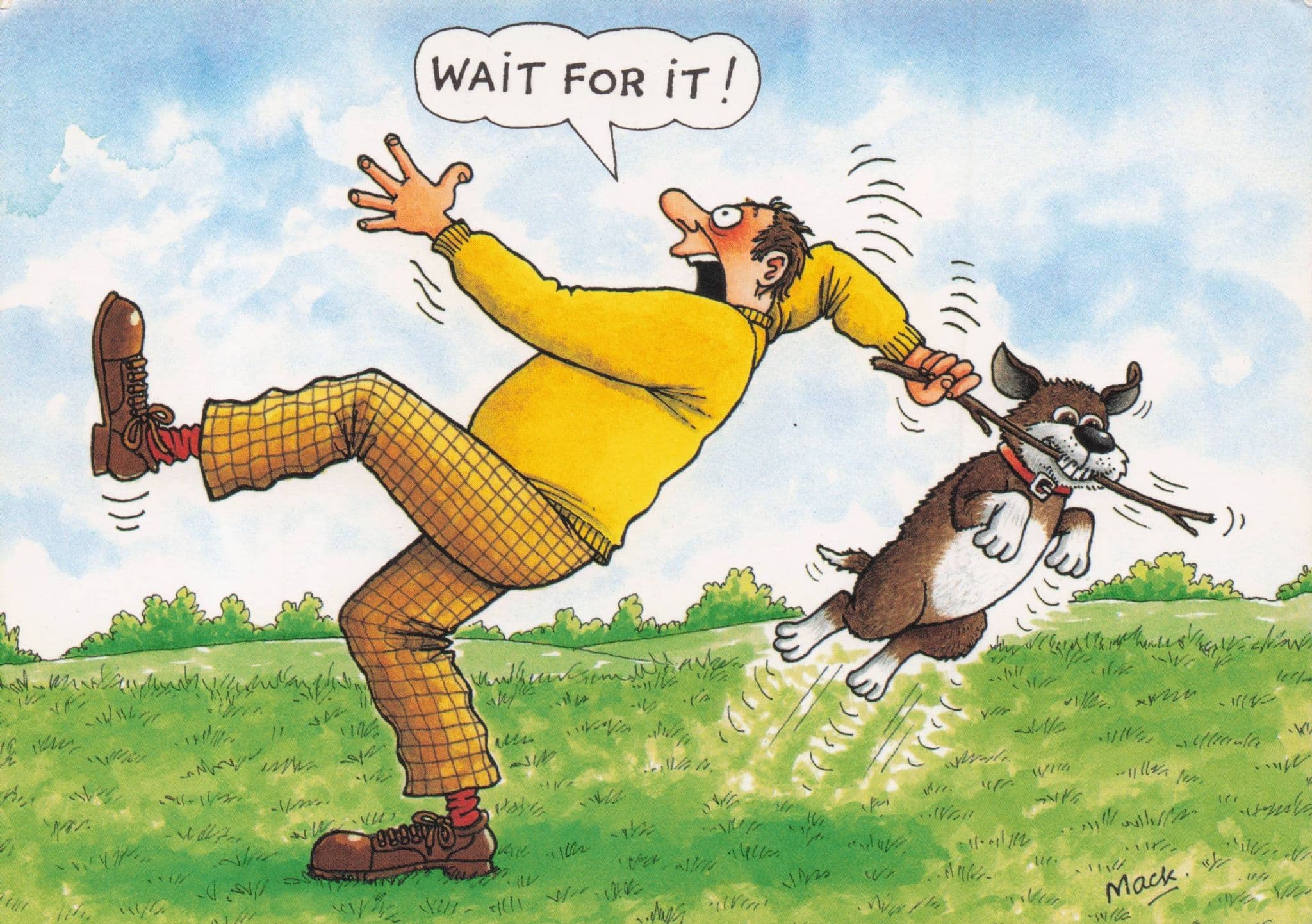 Dog Playing Fetch Crazy Stick Training Disaster Animal Comic Postcard