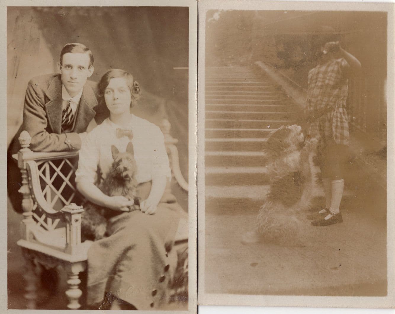 Dog Training 2x Antique Scotty Dogs Real Photo Postcard s