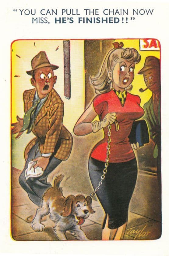 Dog Using Public Toilets Man Demanding Animal Pulls Chain Comic Humour Postcard
