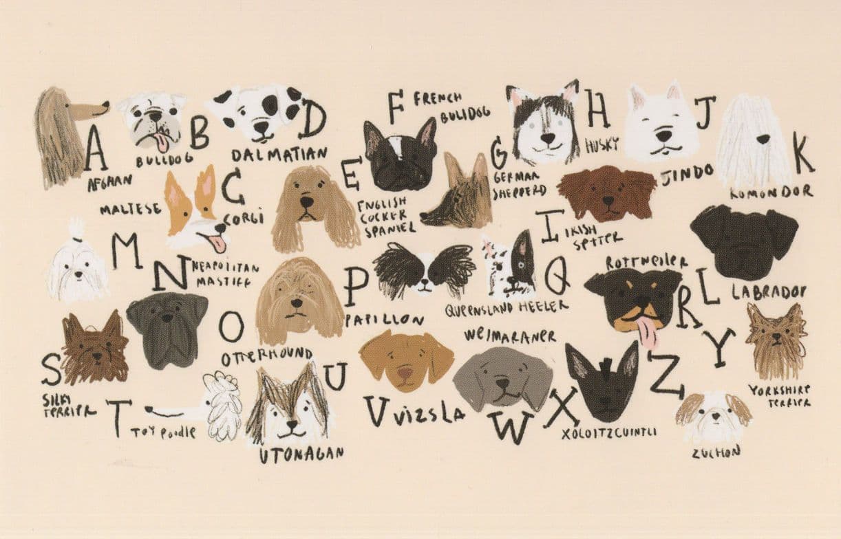 Doggie Alphabet Comic Dog Dogs A To Z Postcard