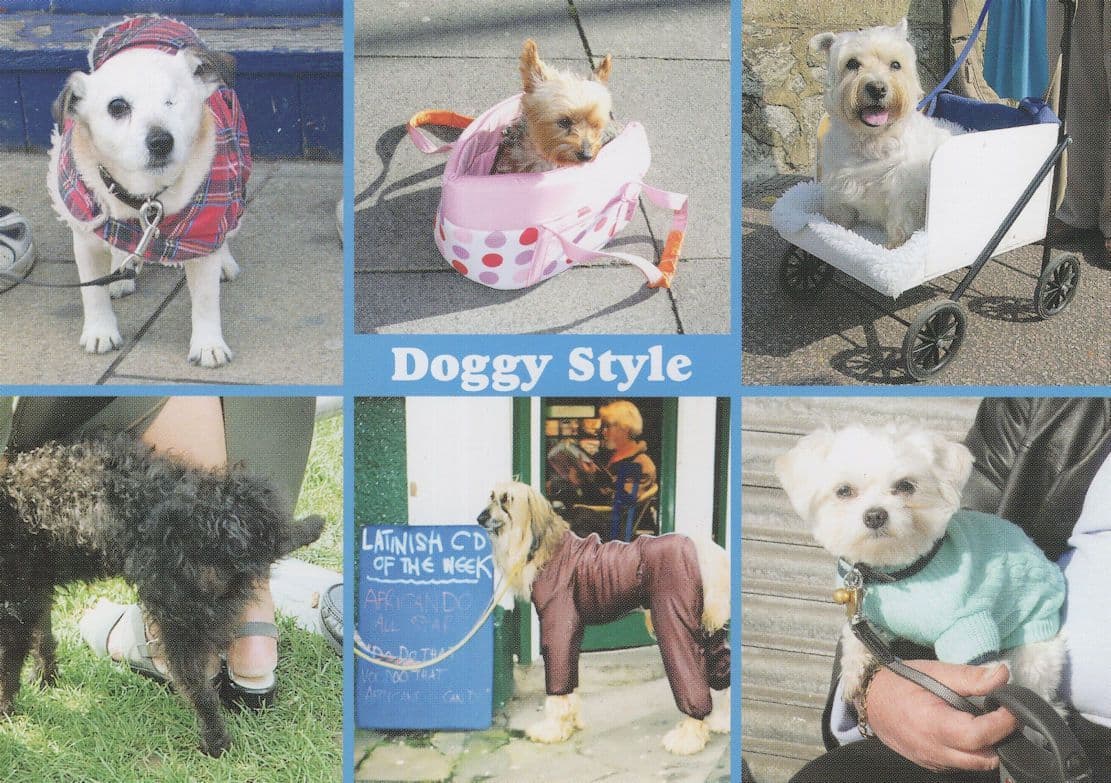 Doggy Style Beautiful Crazy British Pub Pram Dogs Comic Postcard