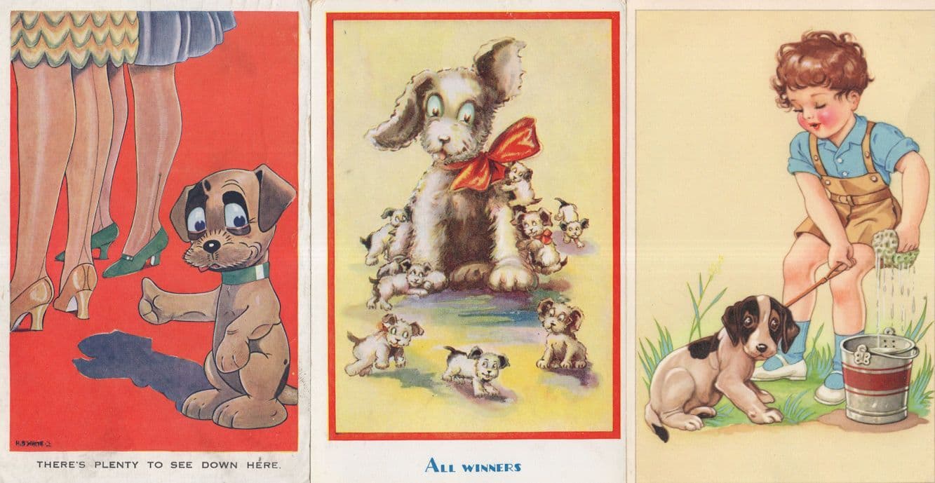 Dogs Looking Upskirt 3x Dog Comic Old Postcard s