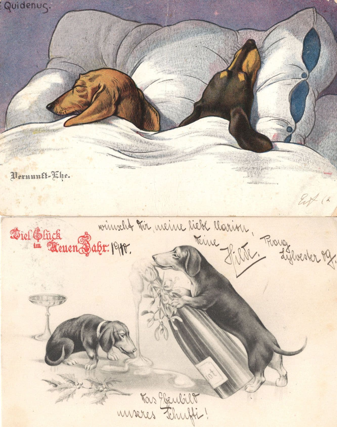 Dogs Sleeping Drinking Alcohol 2x Antique Germany Comic Postcard