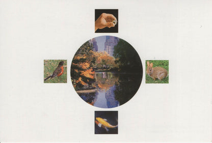 Don Eddy Temenos In Byzanthium Painting Hand Signed Photo Card