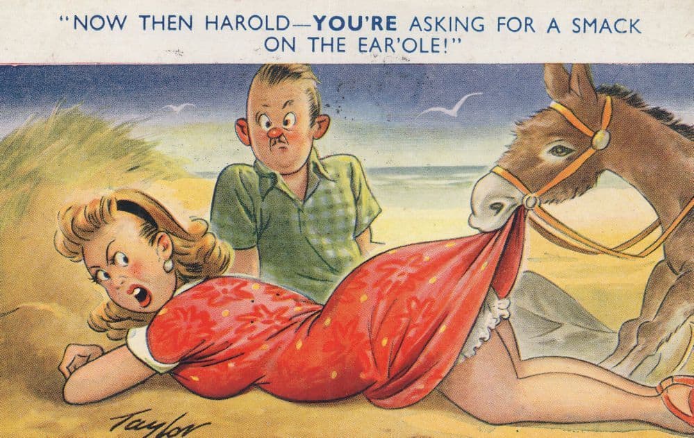 Donkey Lifting Ladies Skirt Upskirt Hosiery Old Comic Postcard