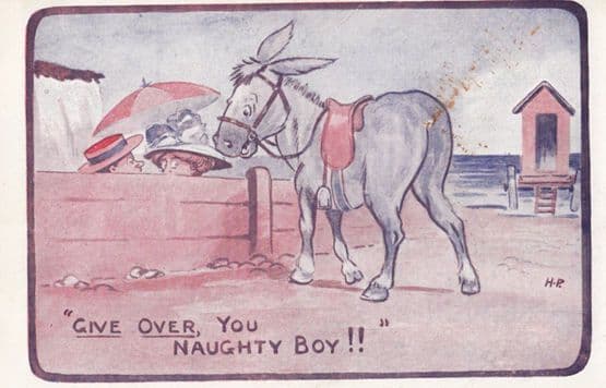 Donkey Watching Love Making Beach Hut Couple Vintage Comic Postcard