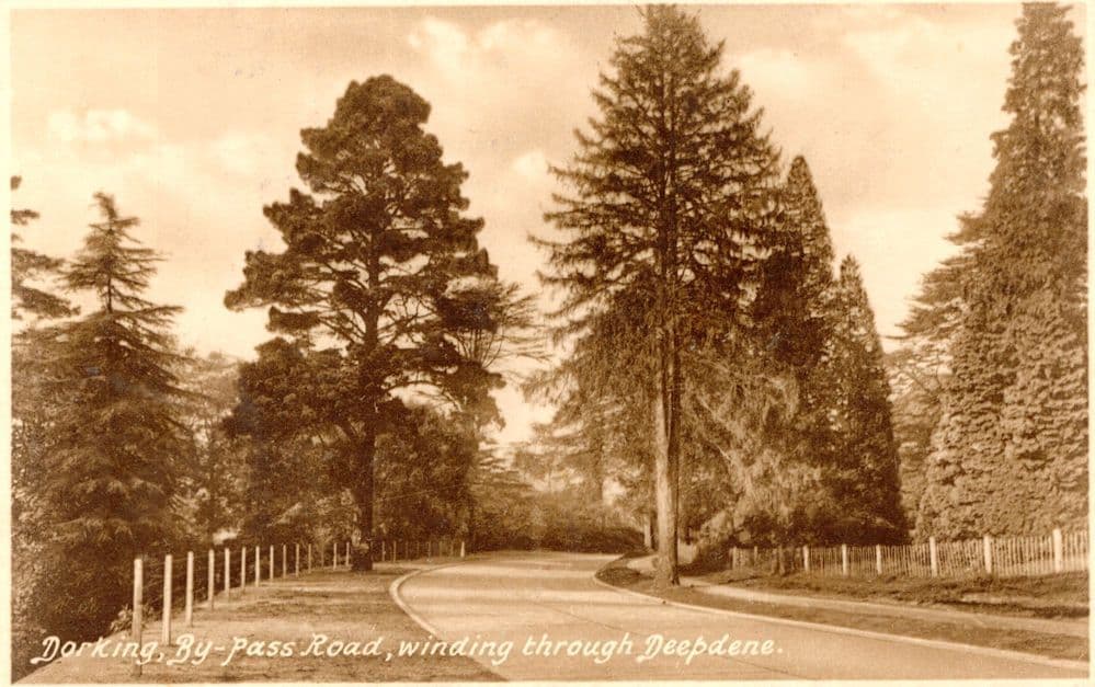 Dorking By Pass Road Via Deepdene Surrey Antique Postcard