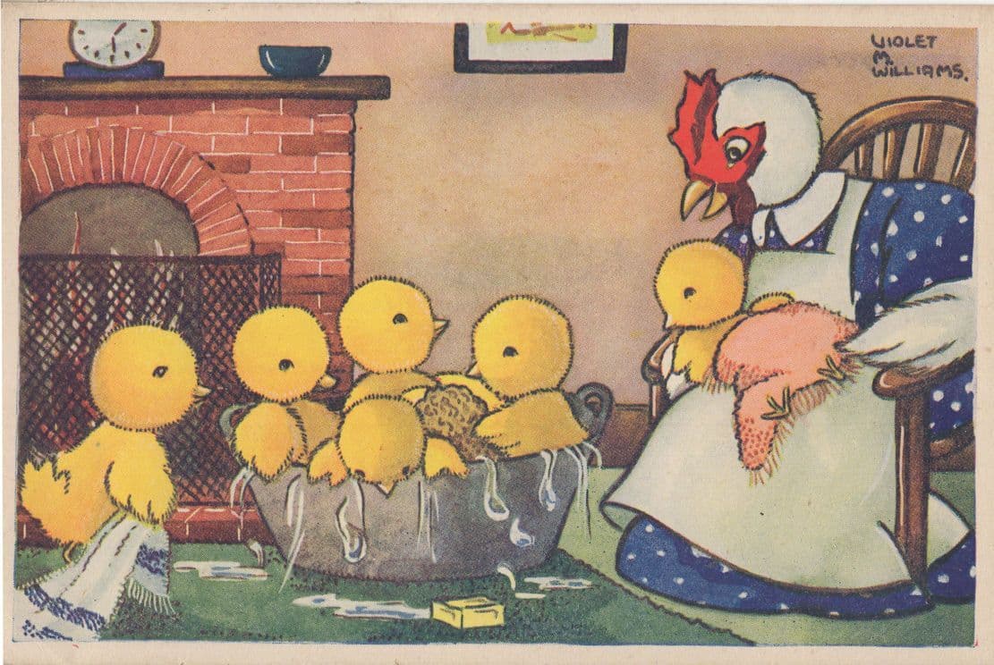 Dorothy Marigold Bath Time Antique Baby Birds Hen Postcard