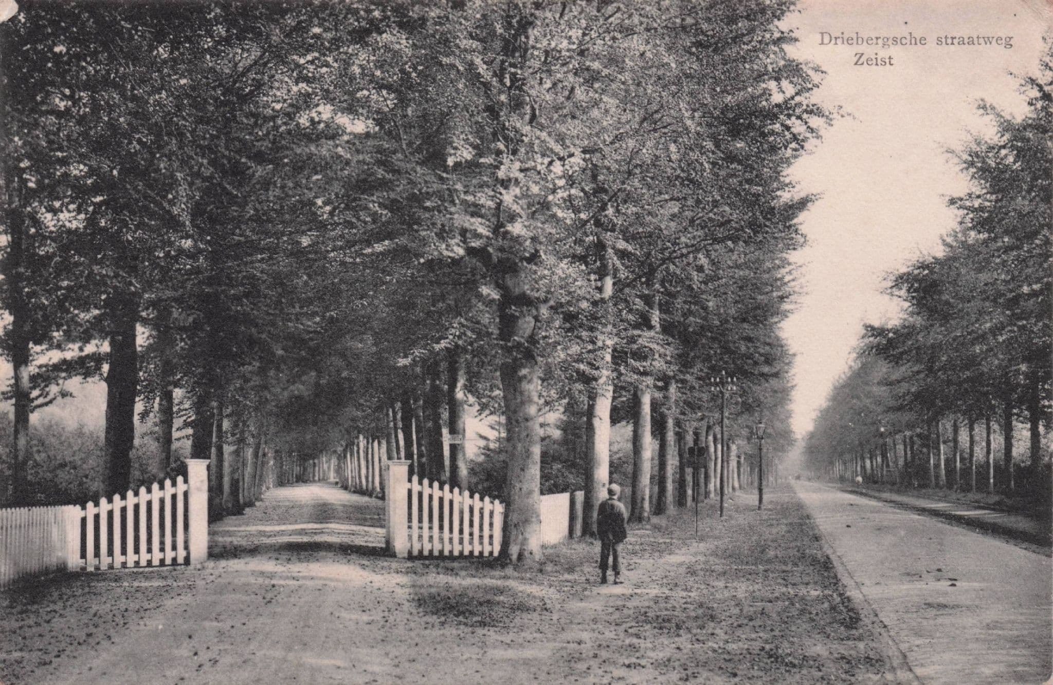 Driebergen Straatweg Zeist German Antique Postcard