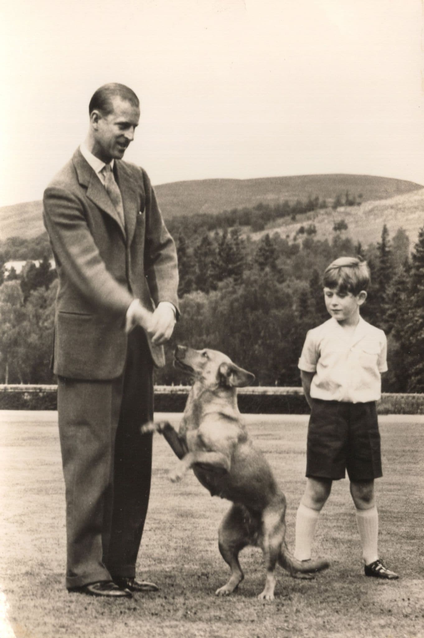 Duke Of Edinburgh Dog Training With Prince Charles Postcard