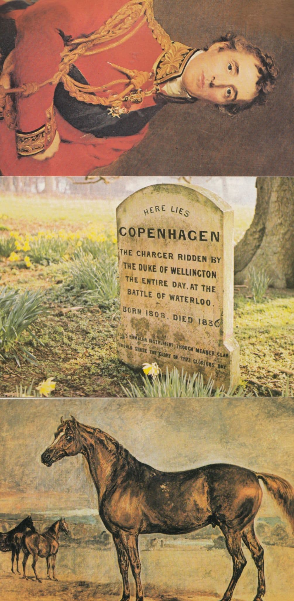 Duke Of Wellington Funeral Horse & Gravestone 3x Postcard s