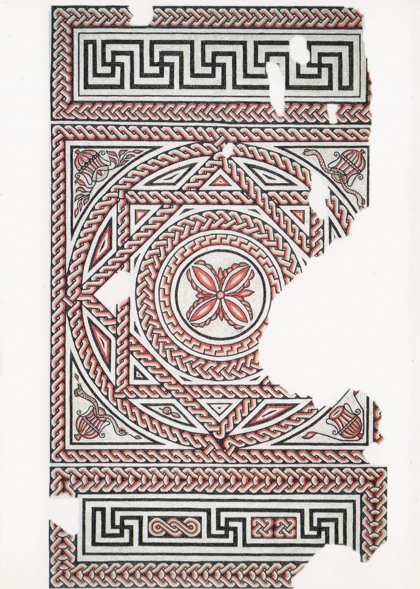 Dumgate Street Dorchester Geometric Old Mosaic Postcard