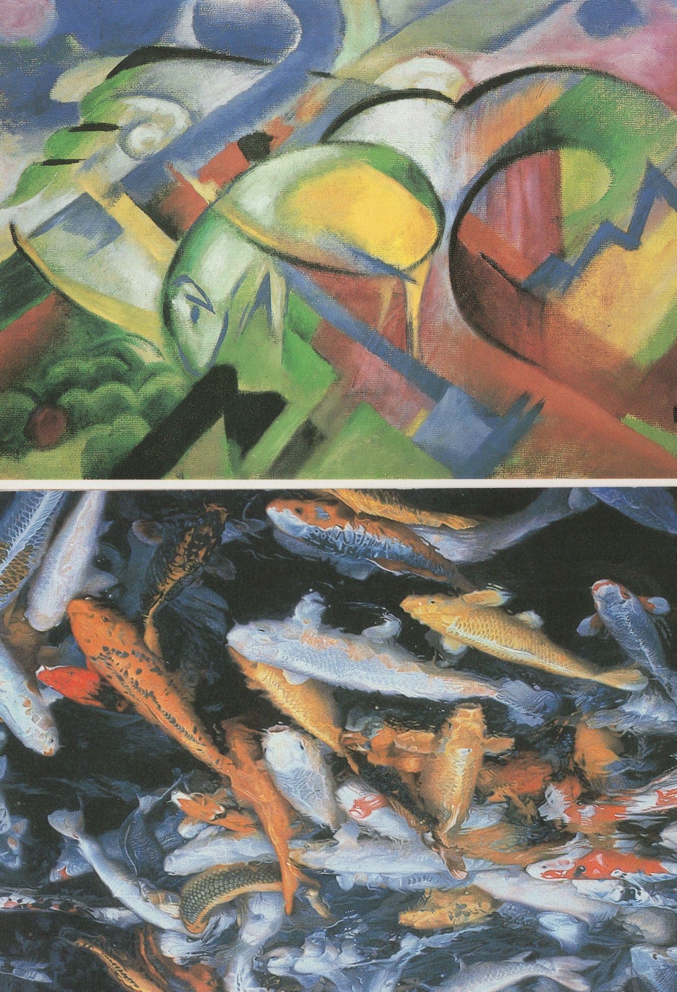 Dutch Fish Painting Art Illustrated 3x Rare Amsterdam Postcard s