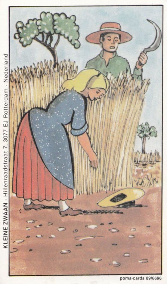 Dutch Holland Harvesting Cutting Hay Making Postcard