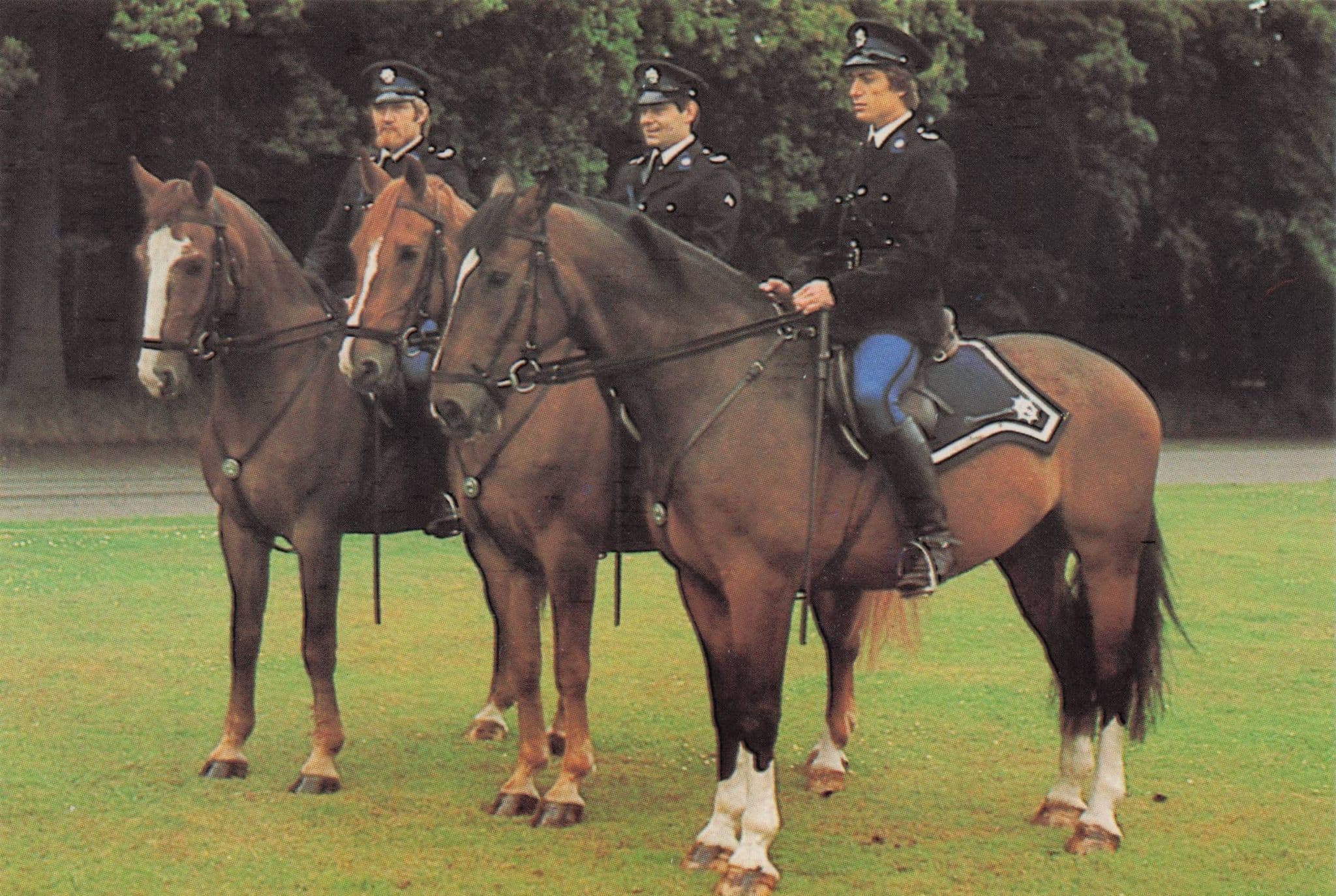 Dutch Holland Paarden Politie Police Horse Group Photo Trade Card