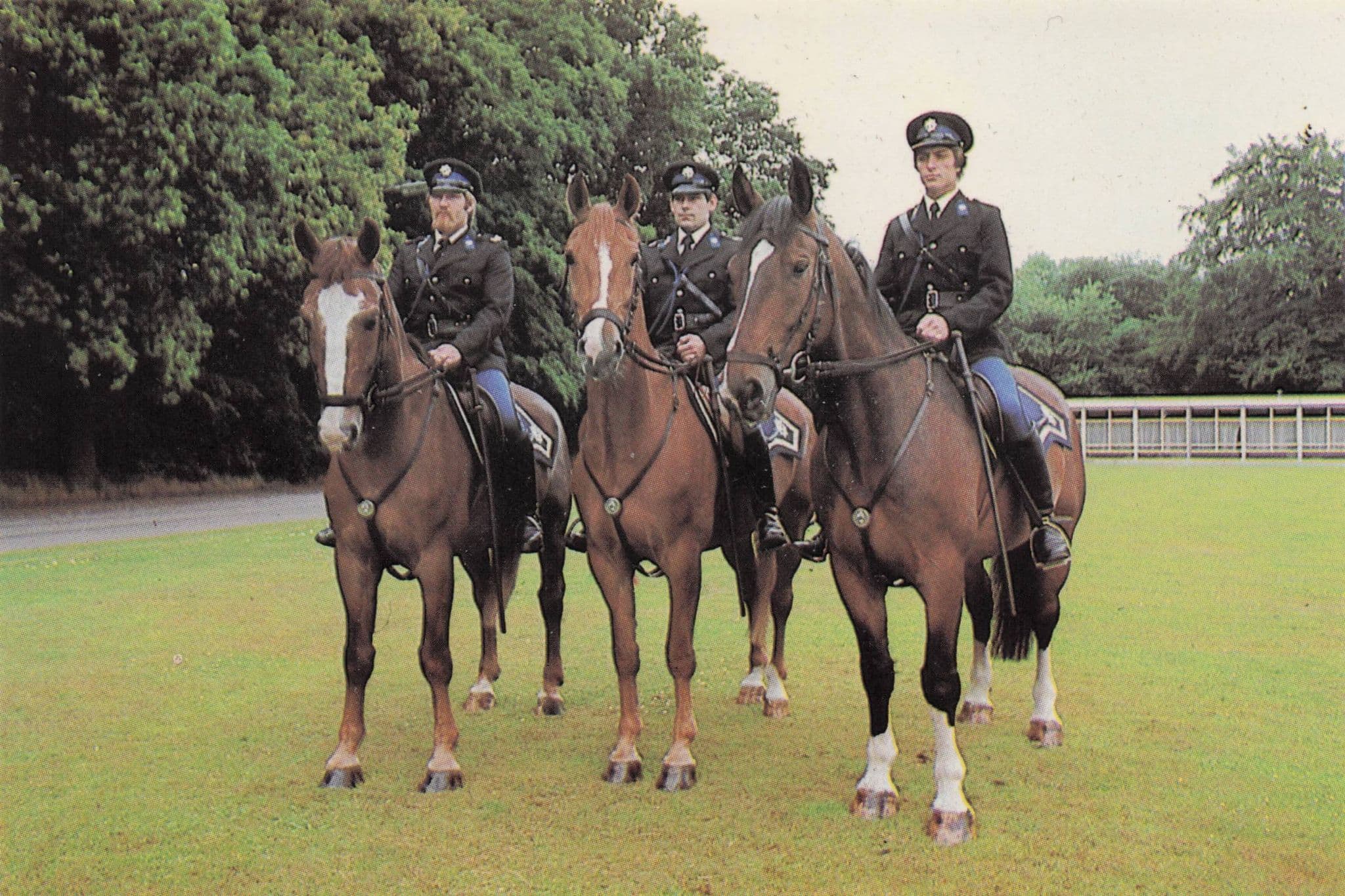 Dutch Holland Paarden Politie Police Horses Rare Photo Trade Card