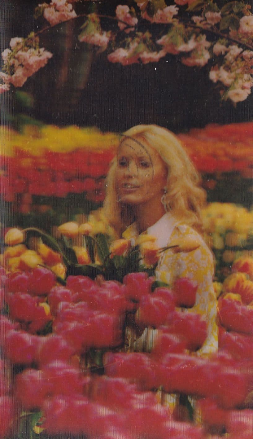 Dutch Lady Picking Flowers Three Dimensional Holland Postcard