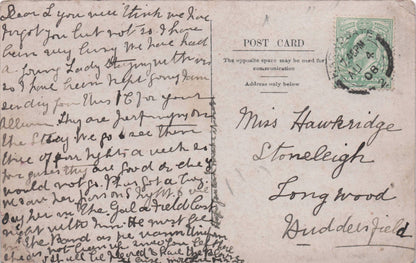 Dutch ZeeParty Entertainment Players AIF Spectator Postcard