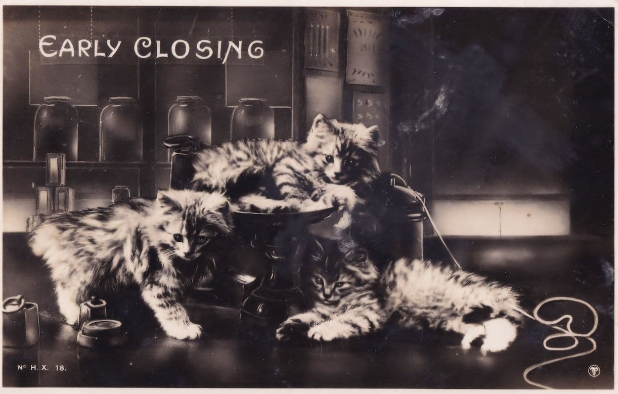 Early Closing Kittens In Pub On Beer Pumps Vintage Cats Comic Real Photo Postcard